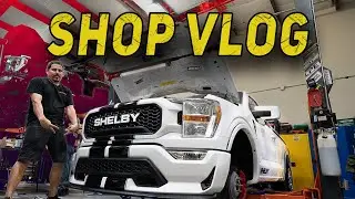MIDNIGHT SHOP VLOG !