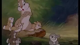Bambi and Thumper’s cute moment