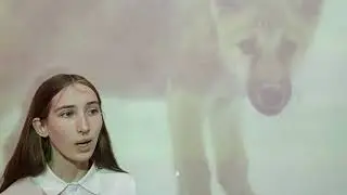 4 волк