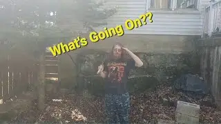 What's Been Going On!