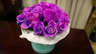 Розы-хамелеон, меняющие цвет