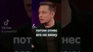 Илон Макс про кошечек и собачек