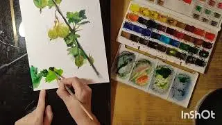 Акварель