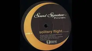 Theo Parrish - Solitary Flight