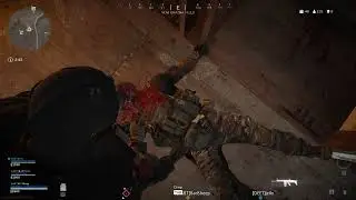 executed