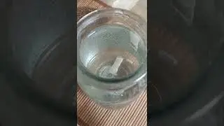 биохимия тела