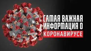 NEW WAVE OF CORONAVIRUS