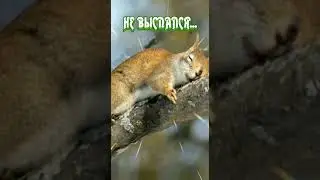 Понедельник