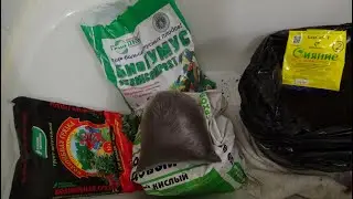 Готовим грунт для рассады. 2020 Кострома