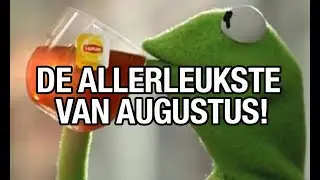 kikker augustus