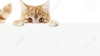 Апаем лигу