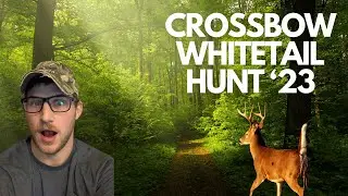 Whitetail Crossbow Hunt