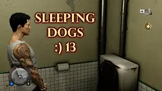 Sleeping Dogs №13