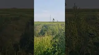 #sirenhead #мем