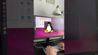 Why do programmers choose Linux? 