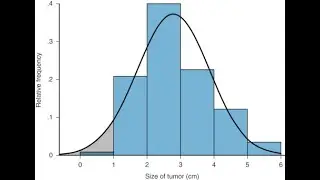 Frequency Function in Excel