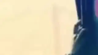 Зан Бом нест