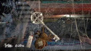 Dona Aranha 🗝️ Tribo da Periferia (6º Último)