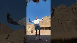 GLEBASEE 