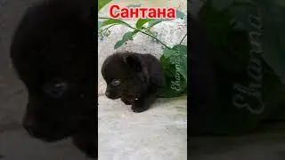 7 июля 2020 г.