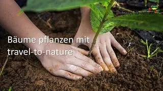 Bäume pflanzen mit travel-to-nature