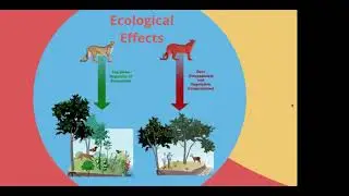 Webinar1