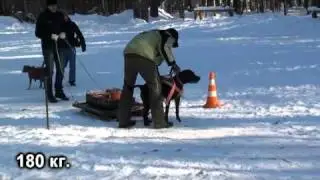 Вейтпуллинг тренировка 26.02.2011