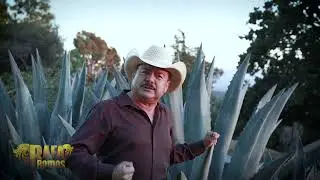 Rafa Ramos | Cariño Donde Andarás (Vídeo Oficial)