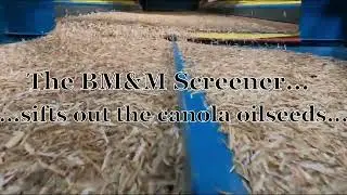 Canola Recovery Screening HQ