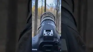 SIGMA 150-600mm 