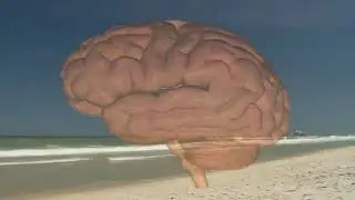 Decompression Illness
