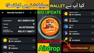Hamster wallet add nahi kiya ab? | wallet not selected in hamster | hamster new update