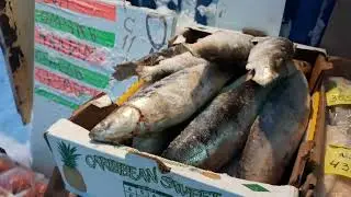 мясо оленина северная. норильск 4 мкрн.срочно к просмотру Норильчанам)