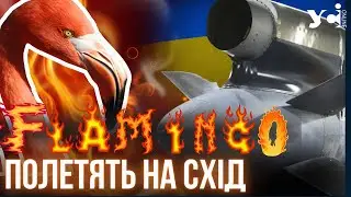 Ukrainian TAURUS? Where will FLAMINGO missiles fly?