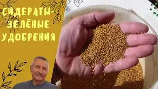 Сидераты- зелёные удобрения.
