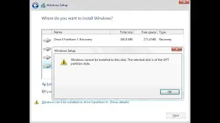 Windows cannot be installed to this disk, GPT partition error, HP, FIX