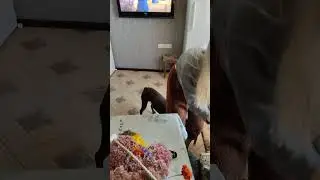 Доброе утро!