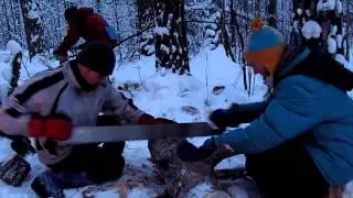 Лыжная прогулка по Южному Уралу