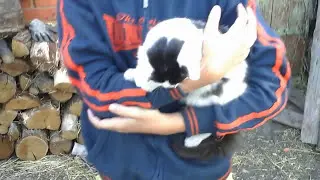 Перша консервація в новому..... дворі)) Життя з нуля - переселенці з Донбасу.