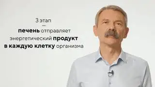 Разбор продукта T8 BRAIN OIL от эксперта Андрея Тарасевича