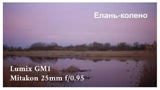 Весенее Елань-Колено) Lumix GM1 x Mitakon 25mm f/0.95