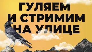 Учу ворона Гошу новой команде! Стрим на прогулке.