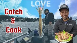Squids Fishing ( Catch & Cook) For Dinner