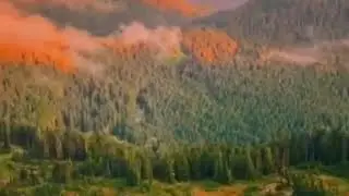 горы Рейнир