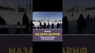 Мечеть МАЗАРИ ШАРИФ