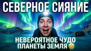 Северное сияние – невероятное чудо нашей планеты Земля🤩