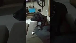 QUE ISSO NA SUA BOCA NINA? PARECE UM ESCORPIÃO