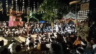 Ngundang ngundang calonarang tamanbali-
Jro mangku dalang mrajepati (mangku Sucawan) - jro mega