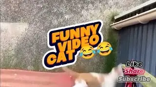 funny cat video | video kucing lucu #funnyvideo #kucing #kucinglucu #fail