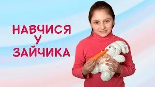 Навчися у зайчика